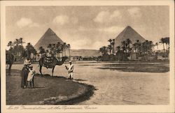 Inundation at the Pyramids Postcard