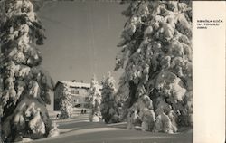 Ribniška koča na Pohorju (1350 m) Postcard