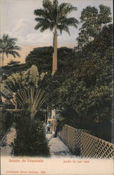 Saludo de Venezuela Jardin de una casa Postcard