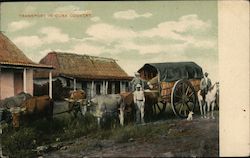 Transport in Cuba Country Postcard