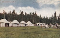 Wylie's Swan Lake Camp Yellowstone National Park Postcard Postcard Postcard