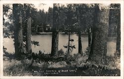 On the Shores of Blue Lake California Postcard Postcard Postcard