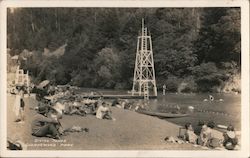 Diving Tower Postcard