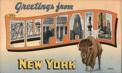 Greetings from Buffalo Postcard