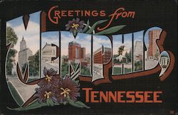 Greetings from Memphis Postcard