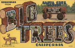 Greetings from Big Trees Park California Postcard Postcard Postcard