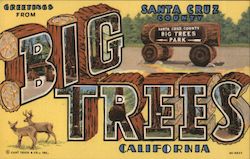 Greetings from Big Trees Park Postcard