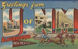 Greetings from Albuquerque Postcard