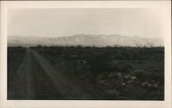 Taken in evening 23rd looking from Funeral Mountains across Amargosa Desert Death Valley, CA Original Photograph Original Photog Original Photograph