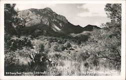 Emory Peak Big Bend National Park, TX Postcard Postcard Postcard