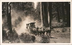 Stagecoach, Western North Carolina Postcard