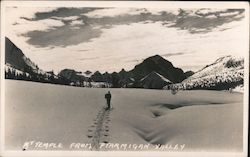 Mt. Temple from Ptarmigan Valley Alberta Canada Postcard Postcard Postcard