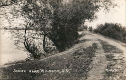 Scene on River Bank Milbank, SD Postcard Postcard Postcard