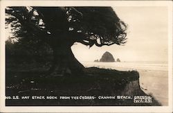 Hay Stack Rock From the Cedars Postcard