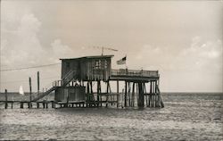 Pier Over the Water Cedar Key, FL Postcard Postcard Postcard