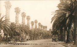 The Palms on Beverly Drive Beverly Hills, CA Postcard Postcard Postcard