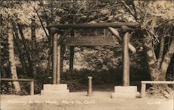 Gateway to Muir Woods Postcard