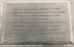 Plaque at Muir Woods National Monument Postcard