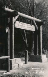 Entrance to Muir Woods National Monument Postcard