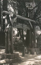 Entrance to Muir Woods Postcard