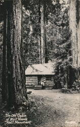 The Old Cabin of Muir Wood National Monument Postcard