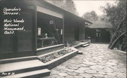 Operators Terrace Muir Woods National Monument Postcard