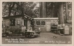 Muir Woods Shop, Muir Woods National Monument Postcard