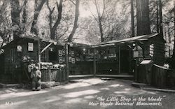 "The Little Shop in the Woods" Muir Woods National Monument Mill Valley, CA Postcard Postcard Postcard