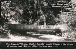 Log Bridge in Muir Woods Nat'l Monument, Calif. Mill Valley, CA Postcard Postcard Postcard