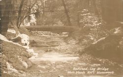 Redwood Log Bridge, Muir Woods Postcard