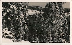 Twin Lakes in Winter from Wildyre Mammoth Lakes, CA Willard Postcard Postcard Postcard