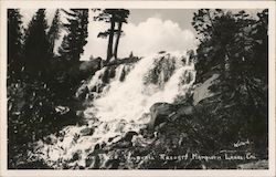 Twin Falls Postcard