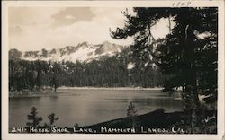 Horse Shoe Lake Postcard