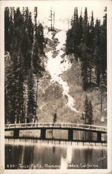 Twin Falls Mammoth Lakes, CA Willard Postcard Postcard Postcard