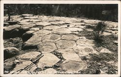 The Mosaic Floor on Top of the Devil's Post Pile Death Valley, CA Willard Postcard Postcard Postcard