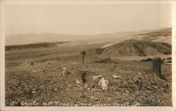 Graves near Furnace Creek Postcard