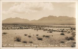 The Desert Death Valley Junction, CA Willard Postcard Postcard Postcard