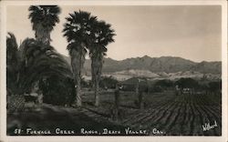 Furnace Creek Ranch Postcard