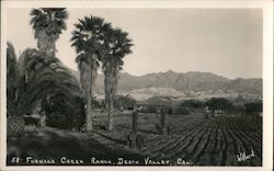 Furnace Creek Ranch Postcard