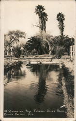 100 Swimming Pool, Furnace Creek Ranch Postcard