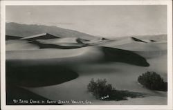 Sand Dunes in North Death Valley, California Willard Postcard Postcard Postcard