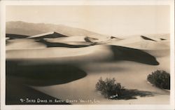 Sand Dunes in the North Postcard