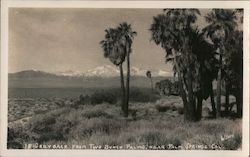 18-Greyback from two Bunch Palms, near Palm Springs Cal. Postcard