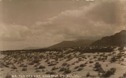 The Desert near Palm Springs, California Willard Postcard Postcard Postcard