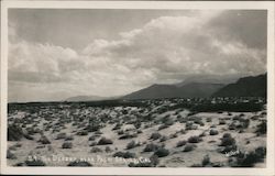 The Desert Near Palm Springs California Willard Postcard Postcard Postcard