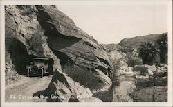 Entering Palm Canyon Postcard