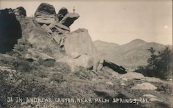 In Andreas Canyon, Near Palm Springs, California Willard Postcard Postcard Postcard