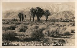 Mount San Jacinto from Seven Palms, near Palm Springs, California Postcard