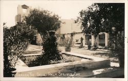 Garden at The Oasis Palm Springs, CA Willard Postcard Postcard Postcard