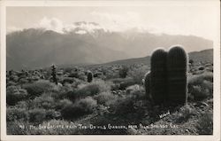 Mount San Jocinto from the Devils Garden Palm Springs, CA Willard Postcard Postcard Postcard